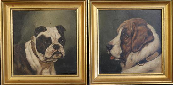 English School, Peggetty and Mischief, portraits of a Bulldog and St Bernard 9 x 9in.